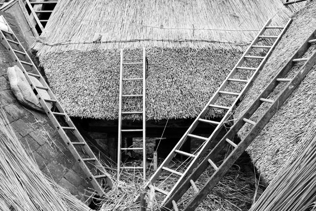 Video & Stills Production