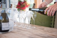 At Home With Lesley - Spring  FULLY BOOKED