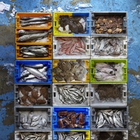 EXCLUSIVE PREMIUM By the Sea Hands on Day FULLY BOOKED
