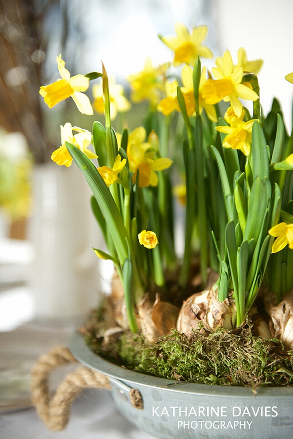 Spring Demonstration Day